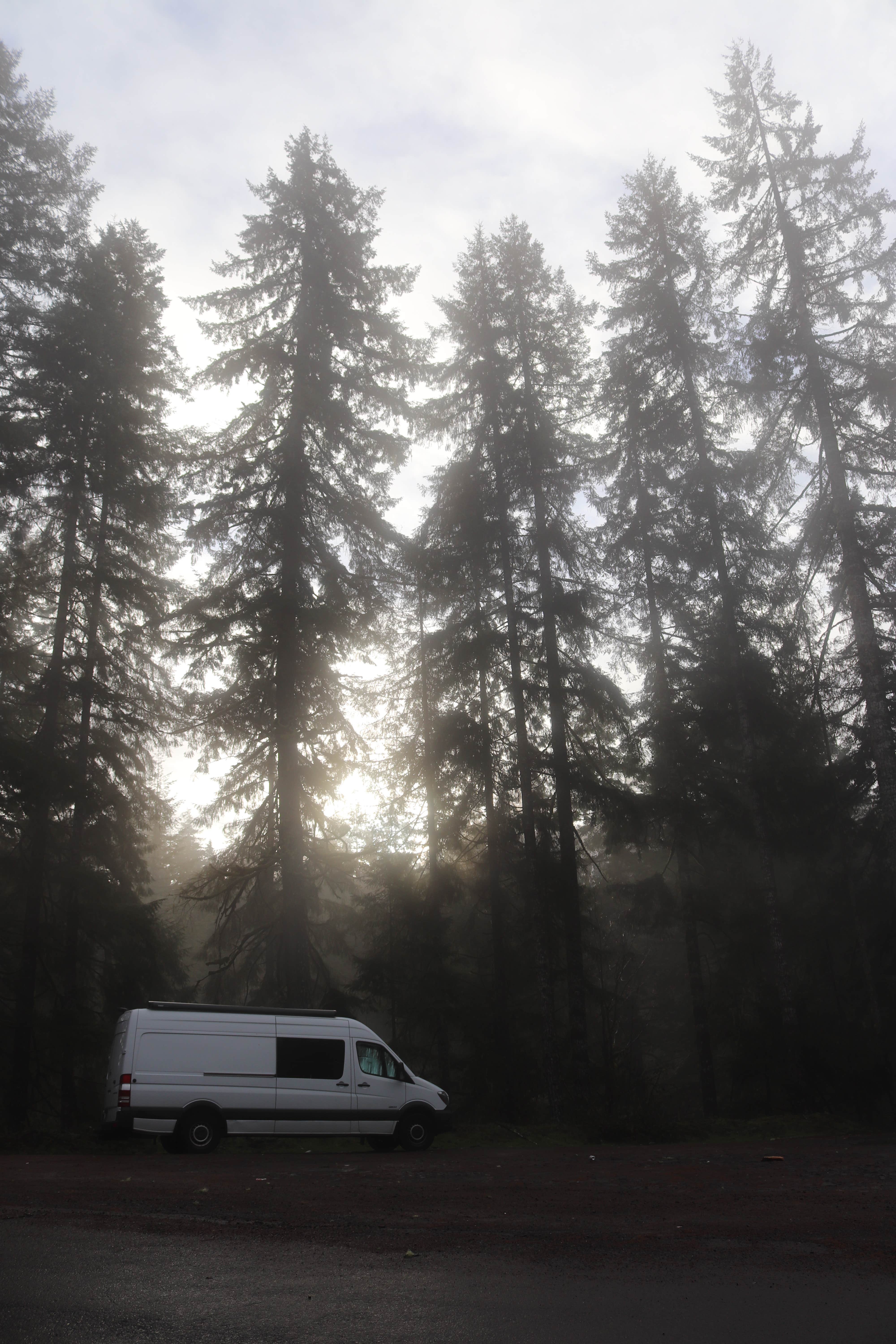 Camper-submitted photo at Beaver Falls Trailhead - Overnight near Hillsboro, OR