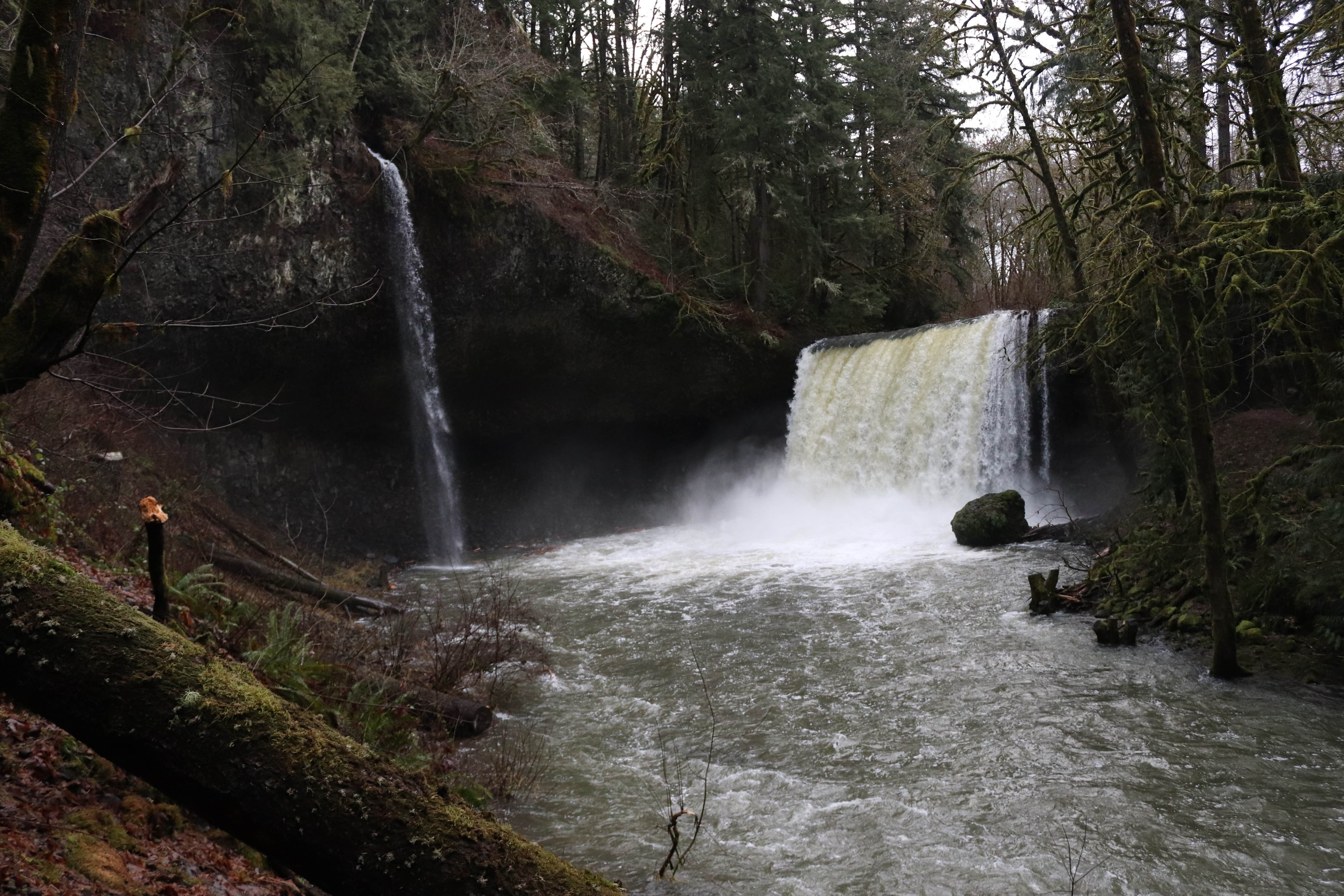 Camper submitted image from Beaver Falls Trailhead - Overnight - 3