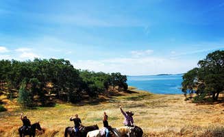 Fawad A.'s photo of camping with a horse at Ascension Ranch near Grass Valley, CA