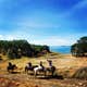 Ascension Ranch
