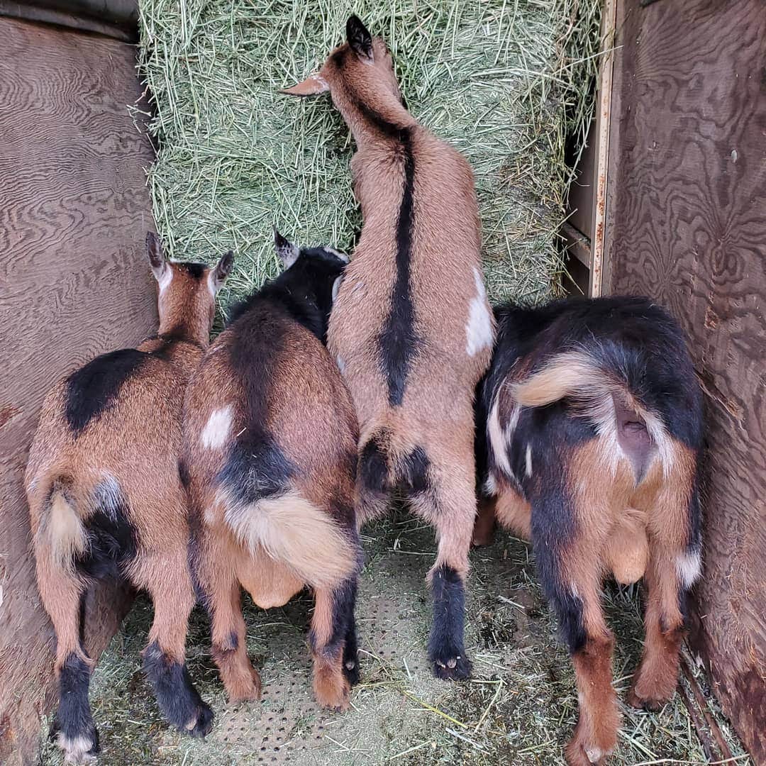 Camper-submitted photo at Ascension Ranch near Rancho Cordova, CA