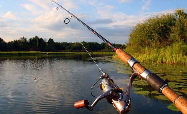 Camper-submitted photo at Ascension Ranch near Rancho Cordova, CA