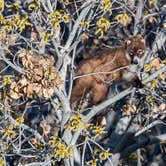 Review photo of Gila Lower Box Canyon by Gary C., January 9, 2022