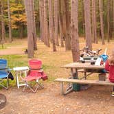 Review photo of Cook Forest State Park Campground by Kevin S., January 9, 2022