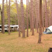 Review photo of Cook Forest State Park Campground by Kevin S., January 9, 2022