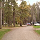 Review photo of Cook Forest State Park Campground by Kevin S., January 9, 2022