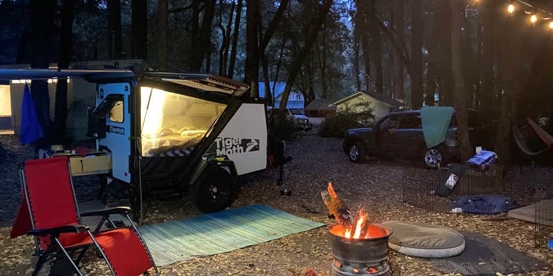 Camper submitted image from Richardson Grove RV and Campground