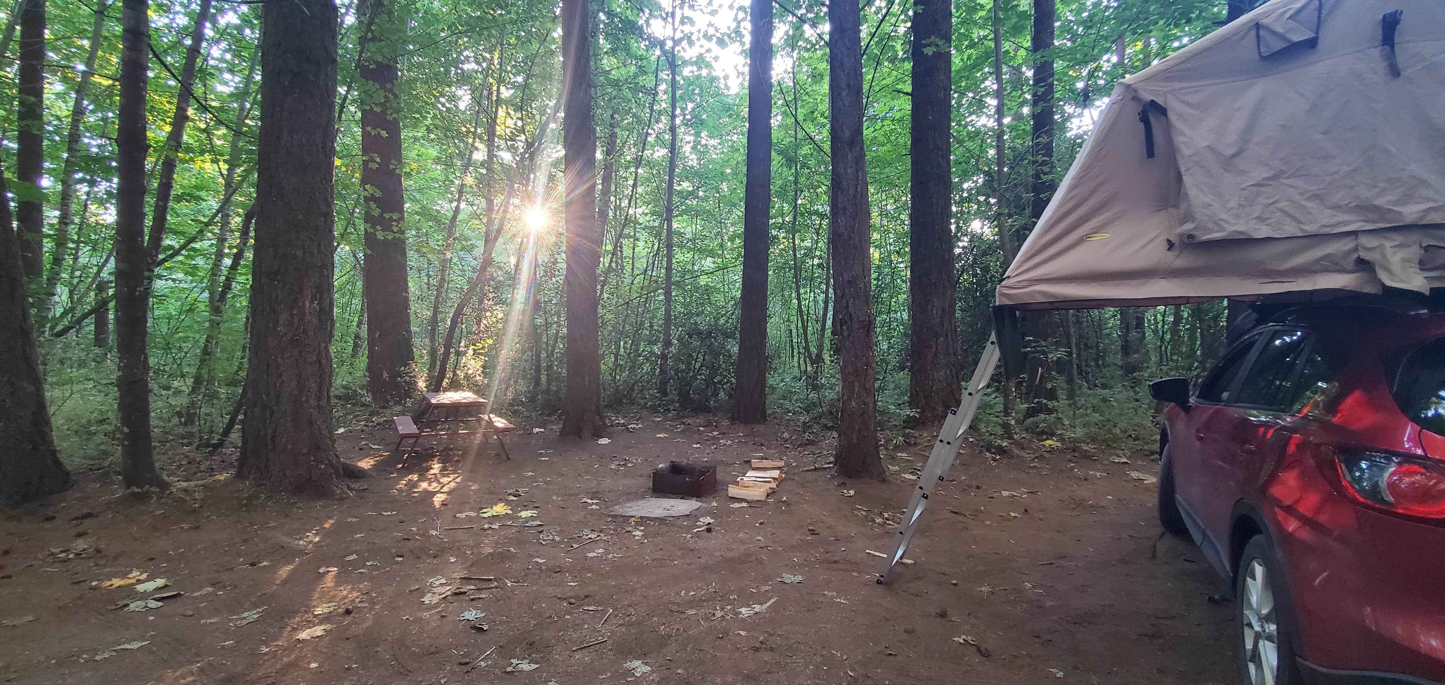 Matt R.'s photo at Cascade Locks KOA near Carson, WA