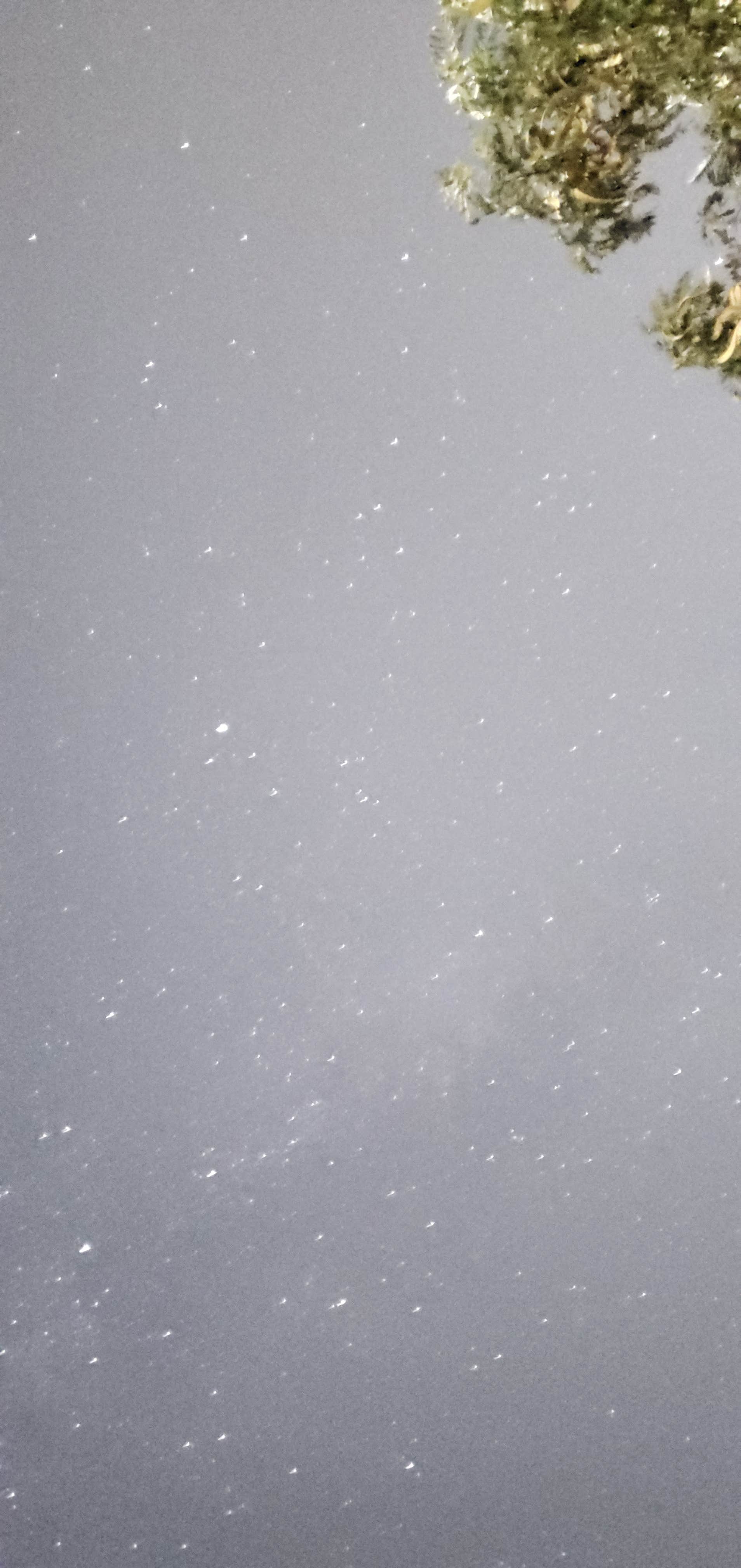 Camper-submitted photo at Burkburnett-Wichita Falls KOA near Indiahoma, OK