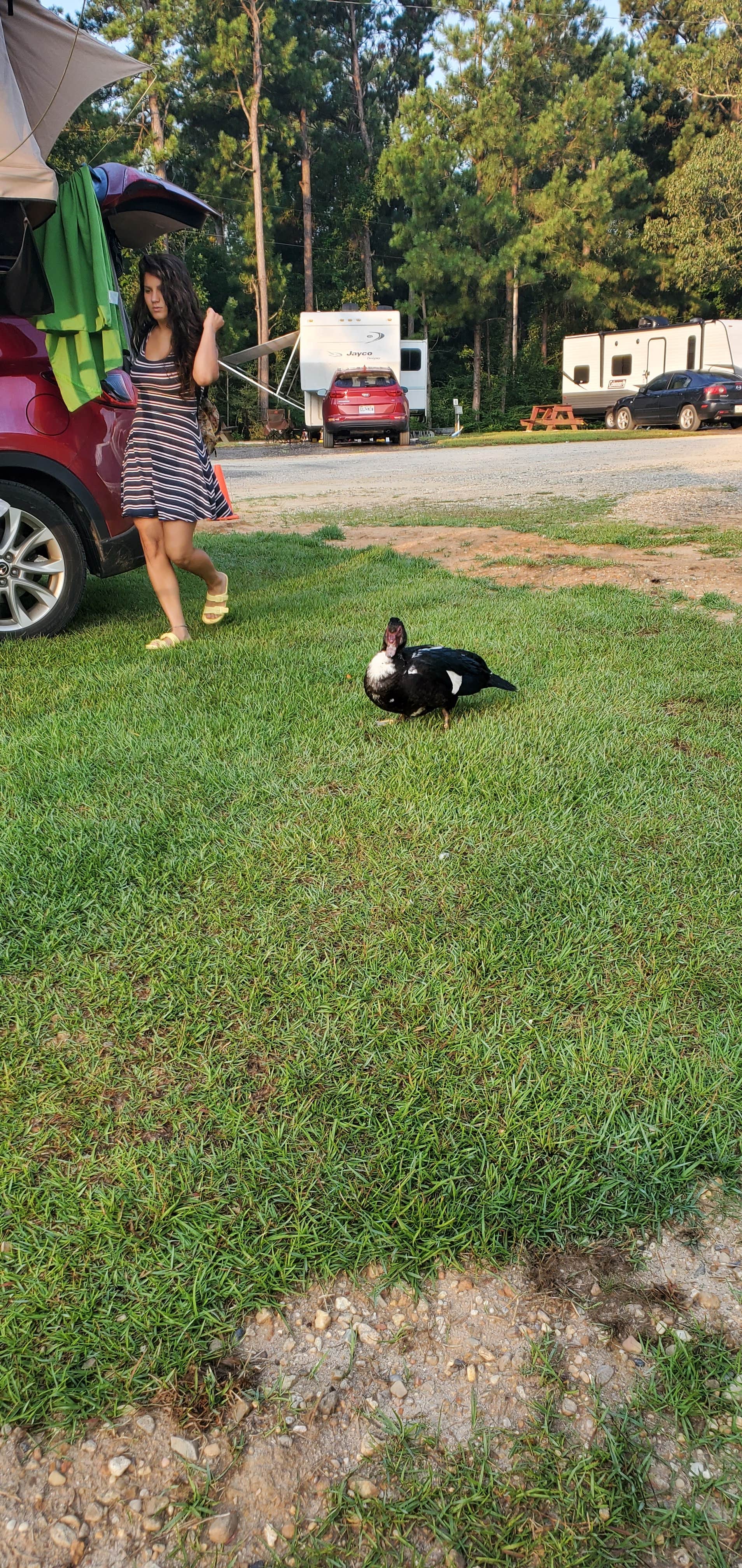Camper submitted image from Hattiesburg / Okatoma River KOA - 4