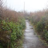 Review photo of Cape Lookout State Park Campground by Jeremy B., January 9, 2022