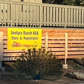 Review photo of Ventura Ranch KOA by Rob L., January 10, 2022