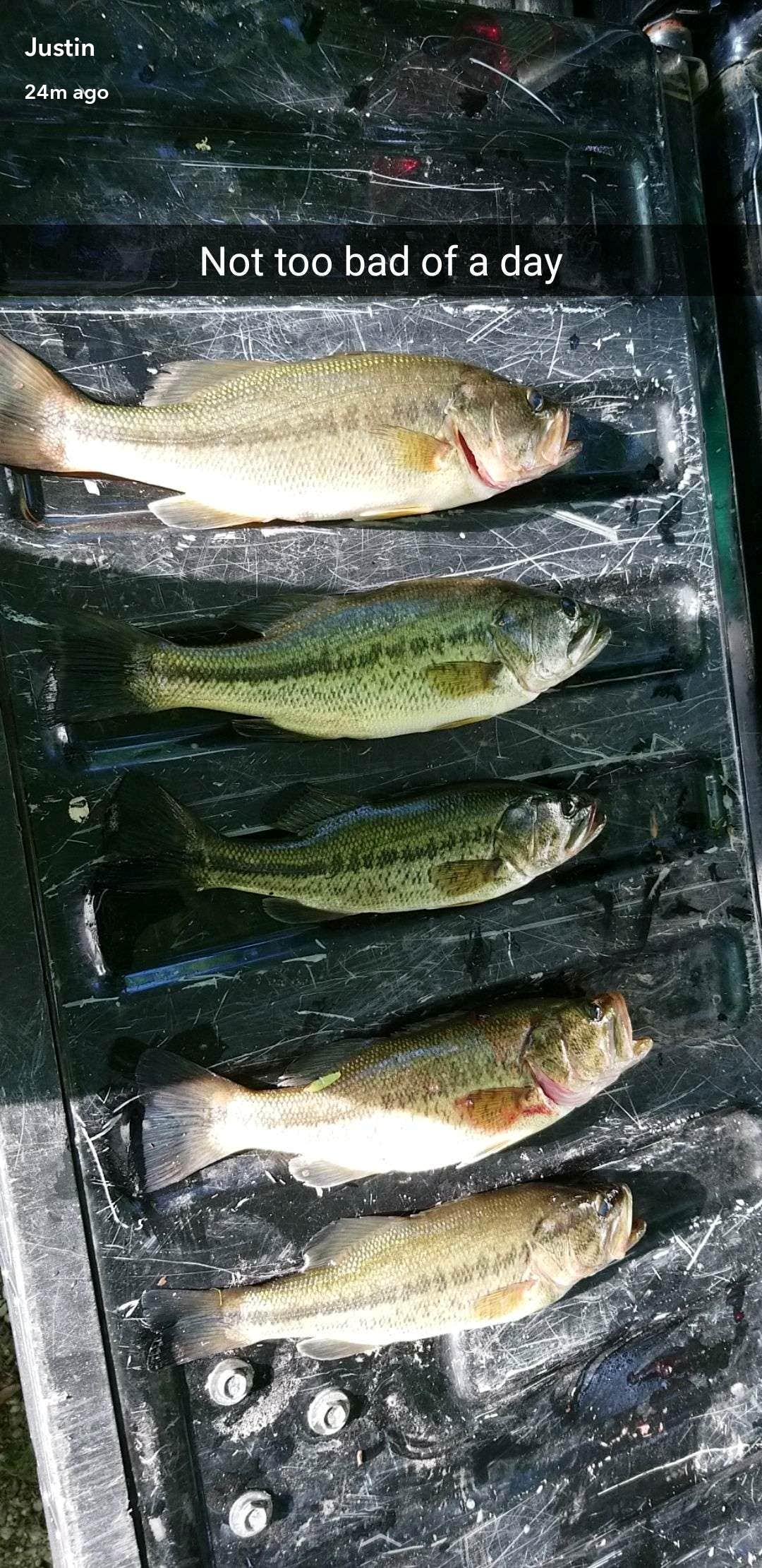 Camper-submitted photo at Saddle Lake Campground — Hoosier National Forest near Leavenworth, IN
