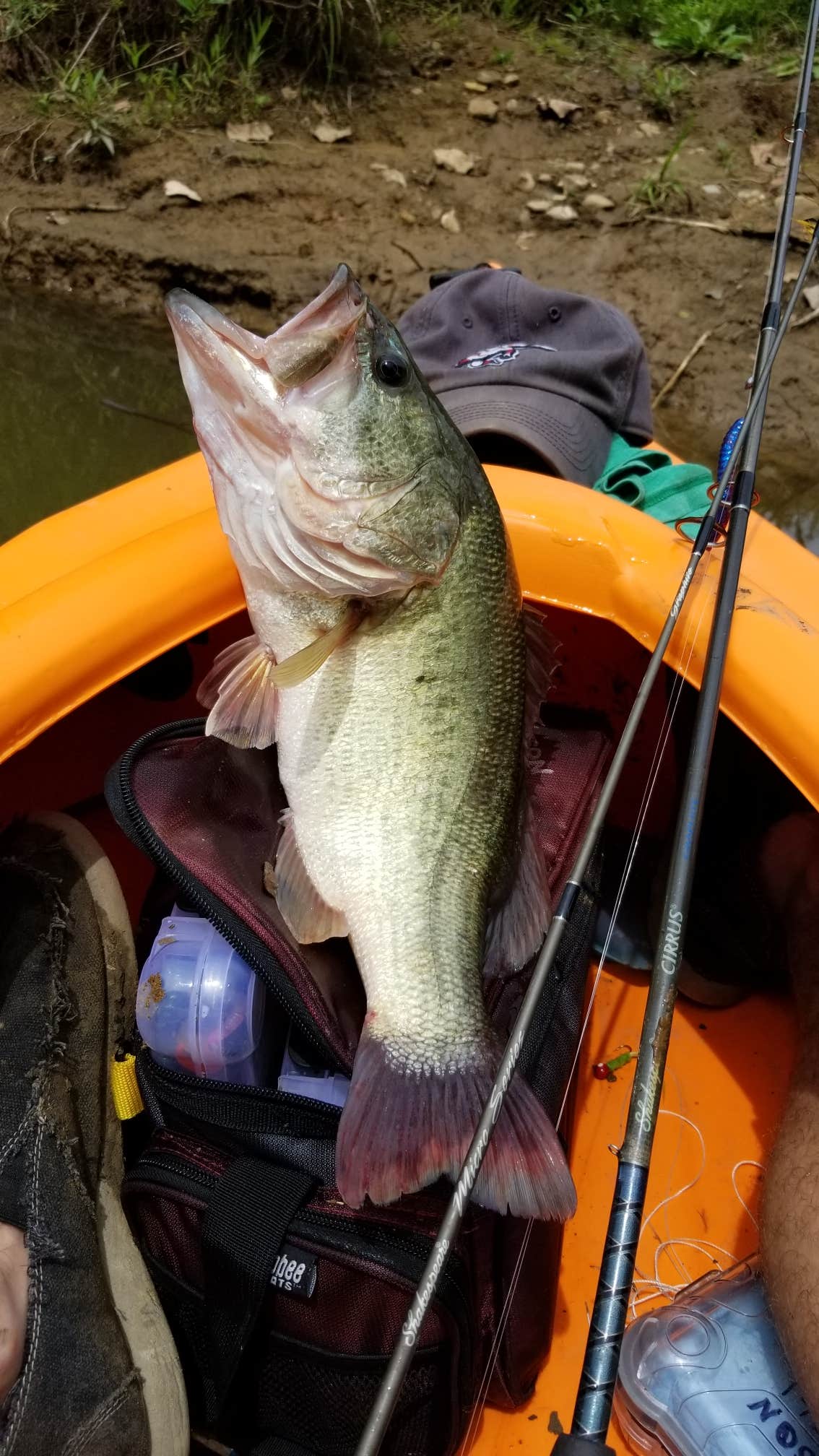 Camper-submitted photo at Saddle Lake Campground — Hoosier National Forest near Leavenworth, IN