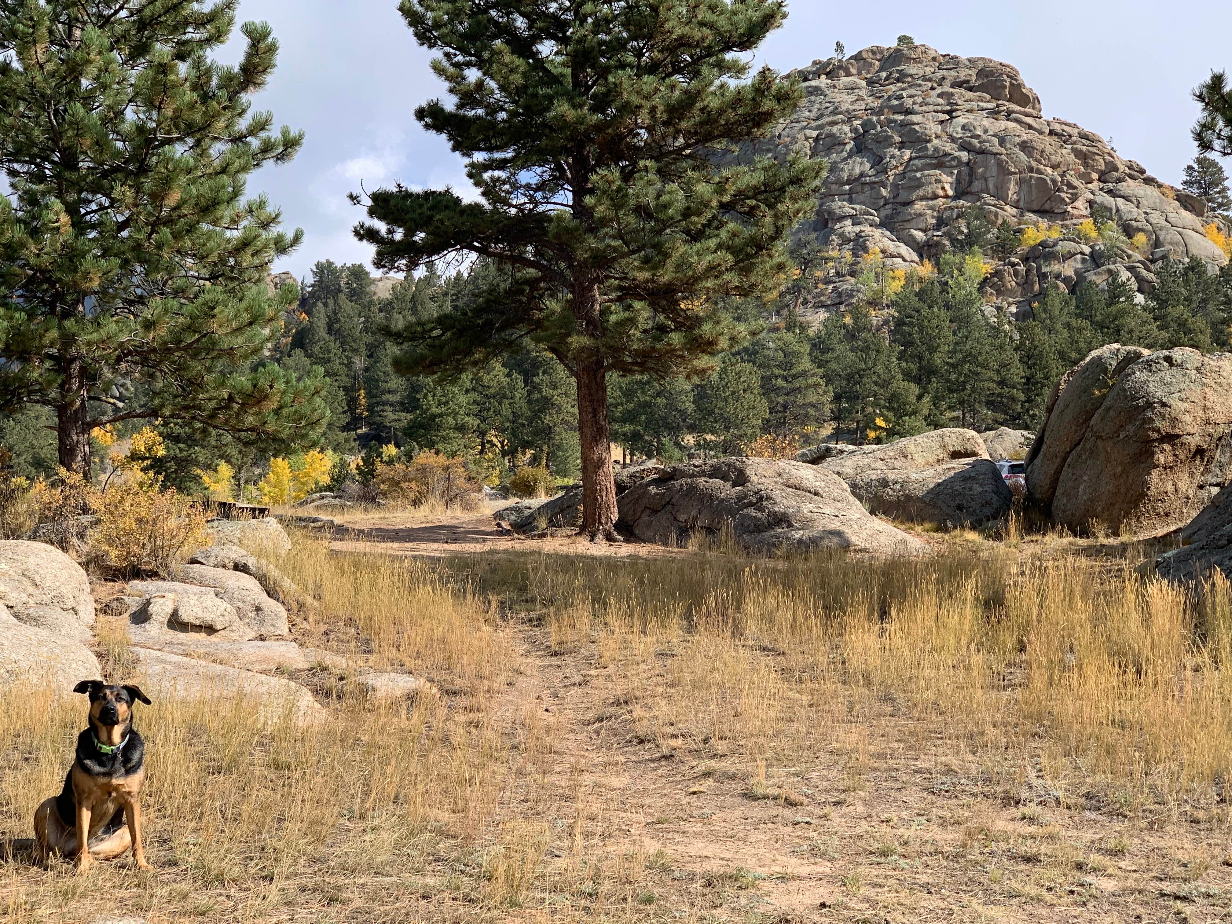 Doug C.'s photo of camping with pets at Rocky Ridge Camground — Eleven Mile State Park near Guffey, CO
