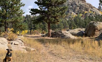 Doug C.'s photo of camping with pets at Rocky Ridge Camground — Eleven Mile State Park near Guffey, CO