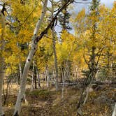 Review photo of Rocky Ridge Camground — Eleven Mile State Park by Doug C., January 10, 2022