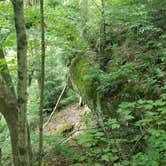 Review photo of Saddle Lake Campground — Hoosier National Forest by Justin W., July 9, 2018