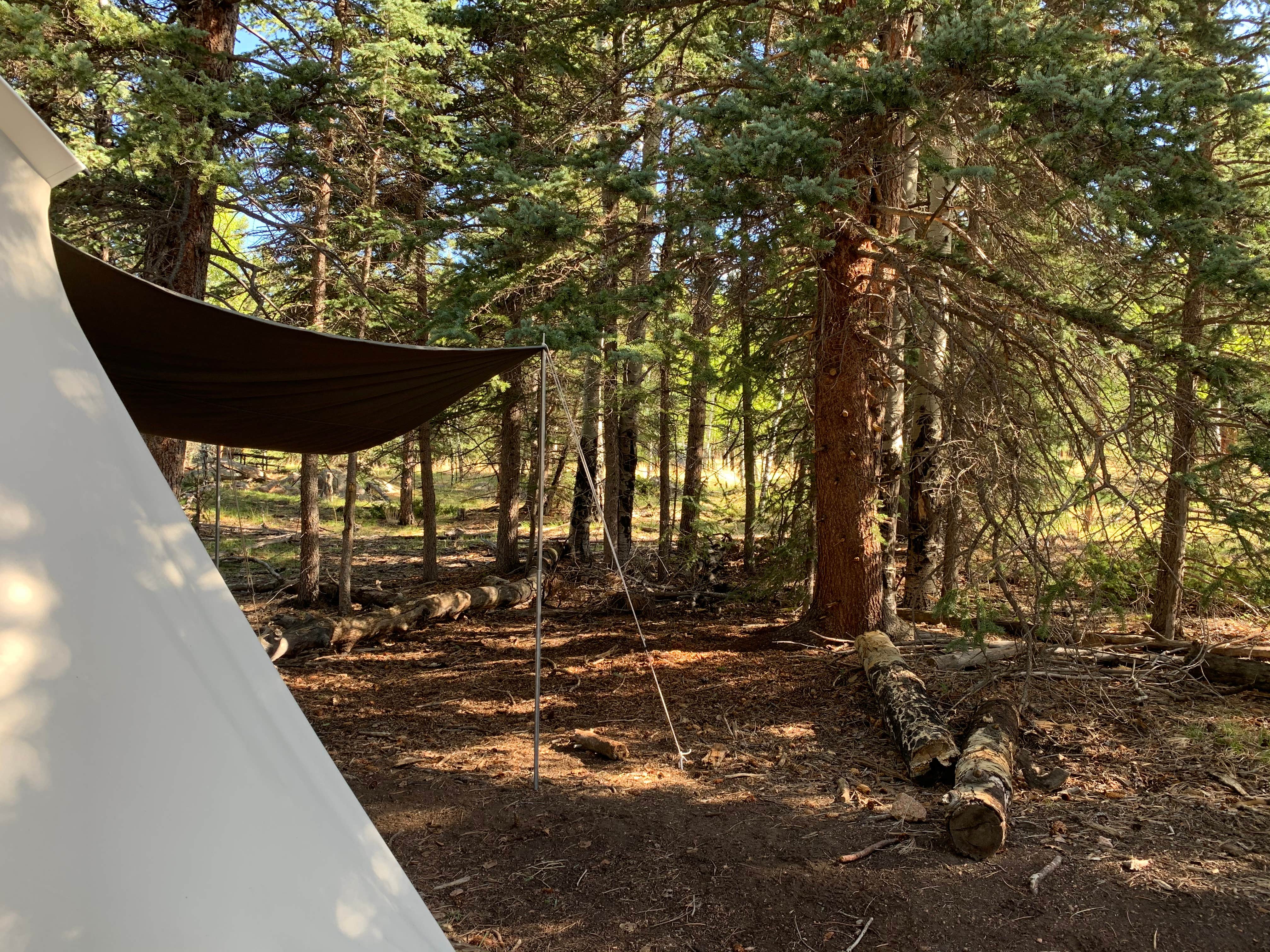 Doug C.'s photo of tent camping at Staunton State Park Campground near Gateway, CO