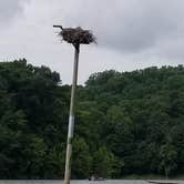 Review photo of Saddle Lake Campground — Hoosier National Forest by Justin W., July 9, 2018