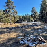 Review photo of Cool Pines RV Park by Caleb S., December 30, 2021