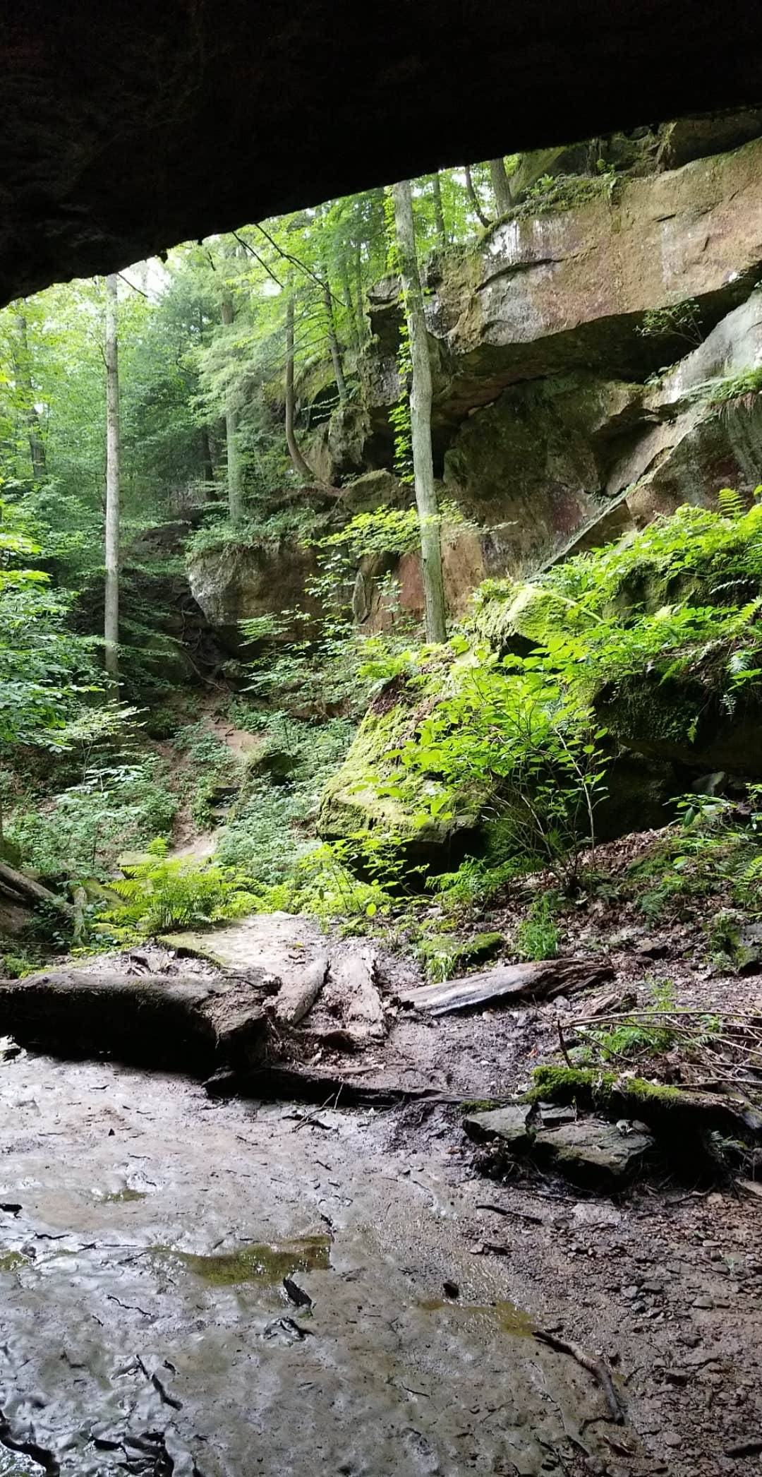 Camper submitted image from Saddle Lake Campground — Hoosier National Forest - 3