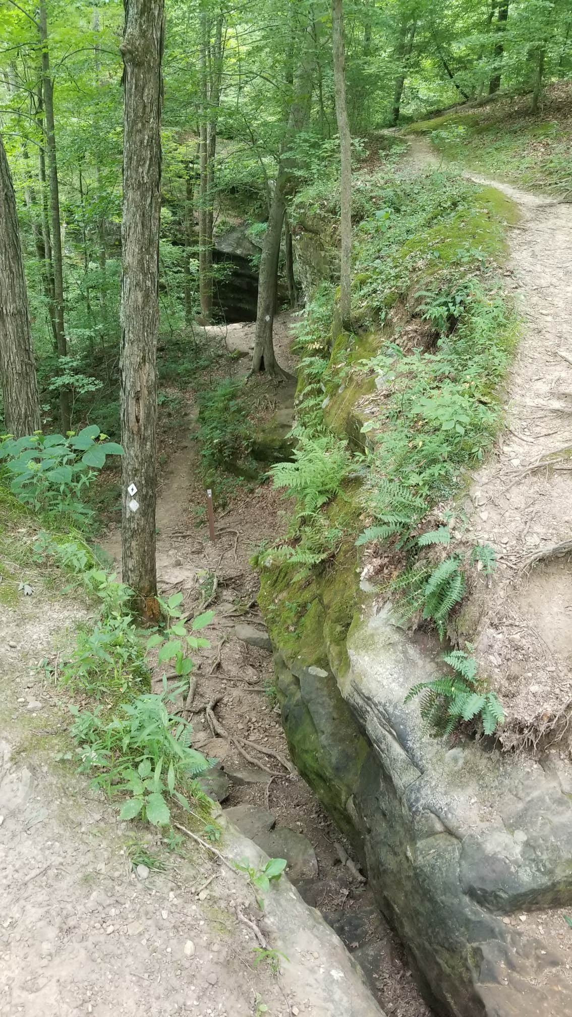 Camper-submitted photo at Saddle Lake Campground — Hoosier National Forest near Leavenworth, IN