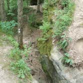 Review photo of Saddle Lake Campground — Hoosier National Forest by Justin W., July 9, 2018