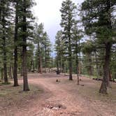 Review photo of Rampart Range Road - Dispersed Camping by Doug C., January 10, 2022