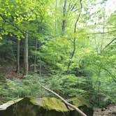 Review photo of Saddle Lake Campground — Hoosier National Forest by Justin W., July 9, 2018