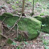 Review photo of Saddle Lake Campground — Hoosier National Forest by Justin W., July 9, 2018