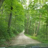 Review photo of Saddle Lake Campground — Hoosier National Forest by Justin W., July 9, 2018