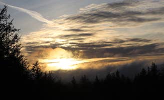 Jeremy B.'s photo of a dispersed camping area at Road to Snag Lake - Dispersed near Clatskanie, OR