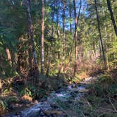 Review photo of Road to Snag Lake - Dispersed by Jeremy B., January 10, 2022