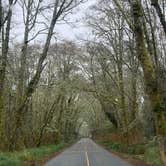 Review photo of Cape Disappointment State Park Campground by Jeremy B., January 10, 2022