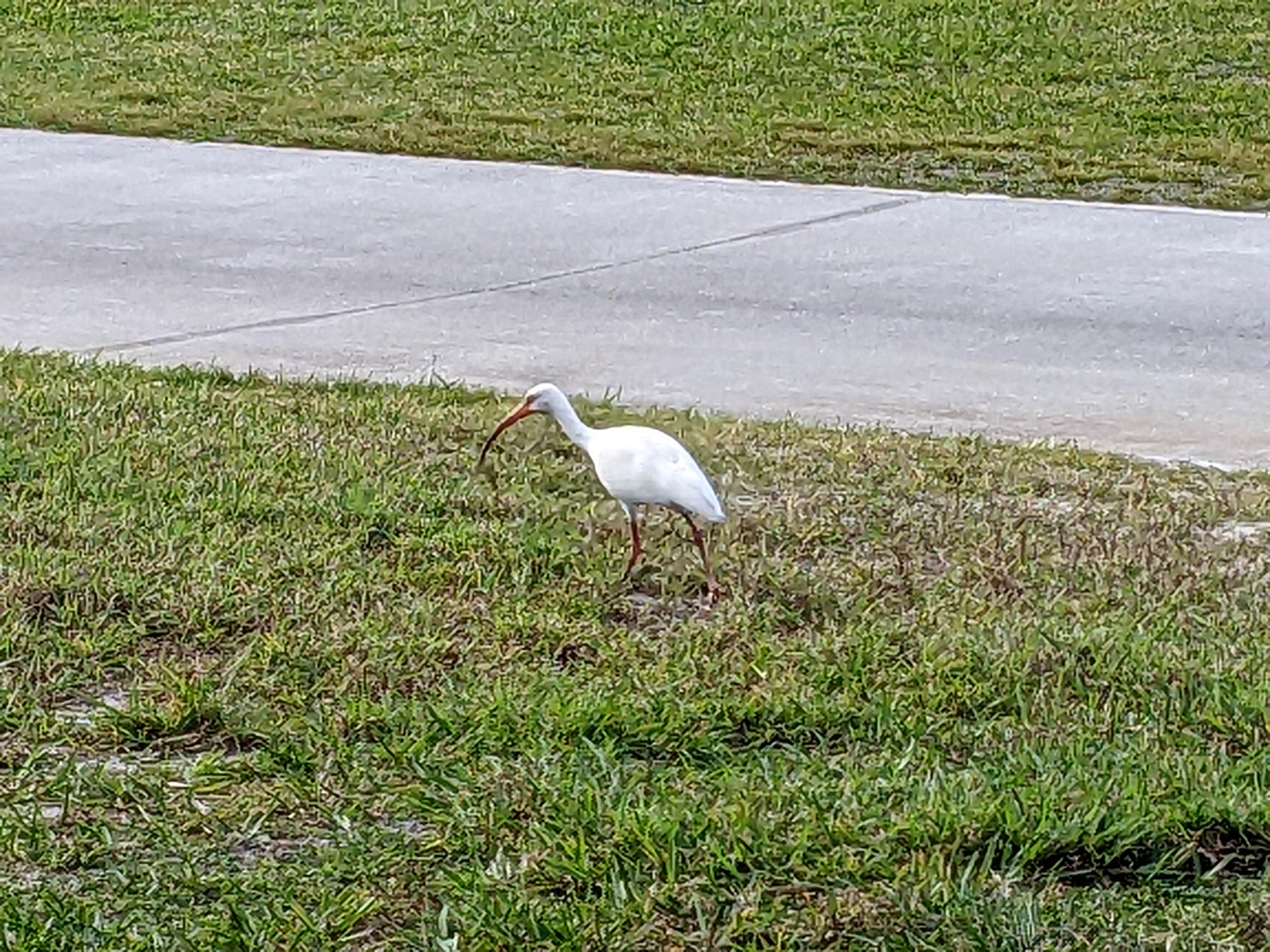Camper-submitted photo at Craig's RV Park near Ona, FL