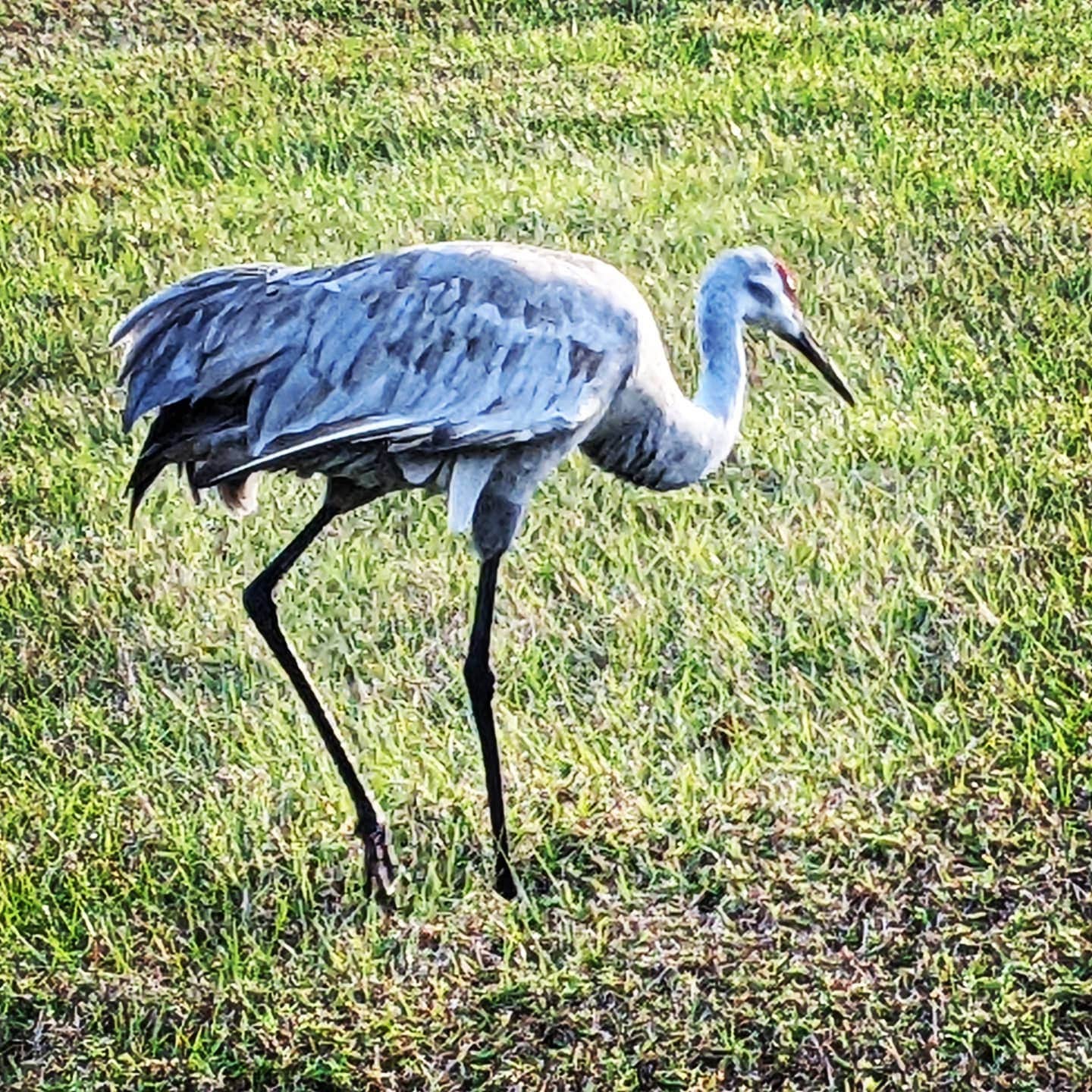 Camper-submitted photo at Craig's RV Park near Ona, FL