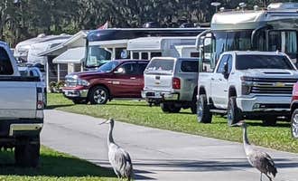 Camping near Peace River Campground: Craig's RV Park, Arcadia, Florida