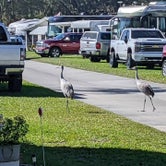 Review photo of Craig's RV Park by Mark F., January 10, 2022