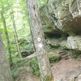 Review photo of Saddle Lake Campground — Hoosier National Forest by Justin W., July 9, 2018