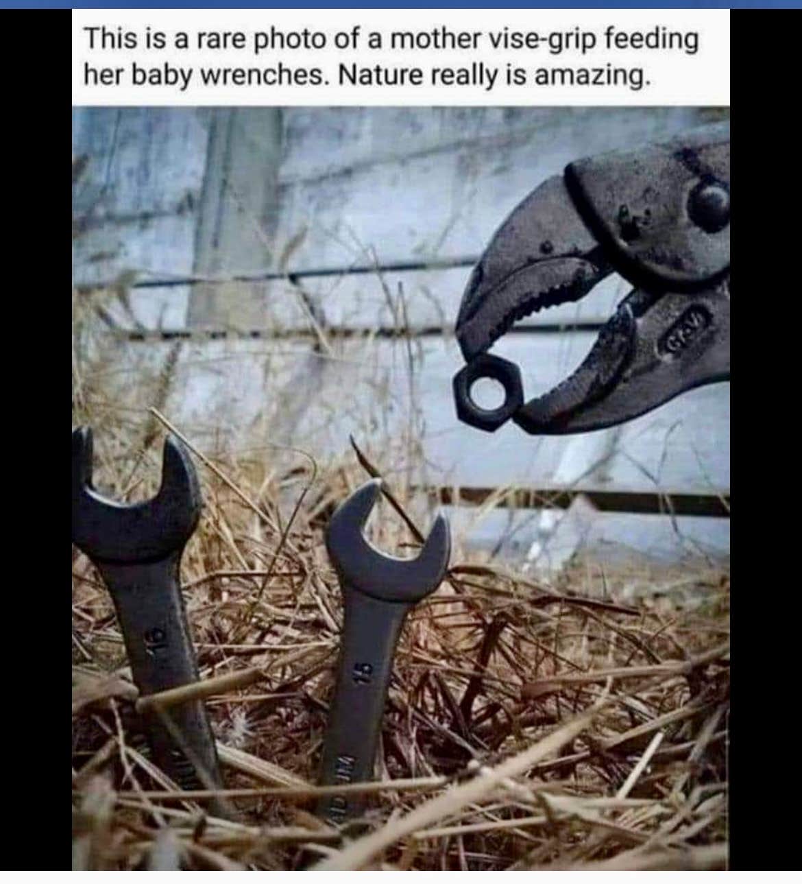 Camper-submitted photo at Missouri Valley City Park near Boys Town, NE