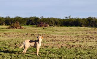 David P.'s photo of camping with pets at JP Rustic Ranch - PERMANENTLY CLOSED near Mission, TX