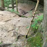 Review photo of Saddle Lake Campground — Hoosier National Forest by Justin W., July 9, 2018