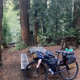 Review photo of Big Sur Campground & Cabins by Kate L., January 10, 2022