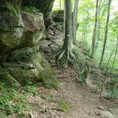 Review photo of Saddle Lake Campground — Hoosier National Forest by Justin W., July 9, 2018