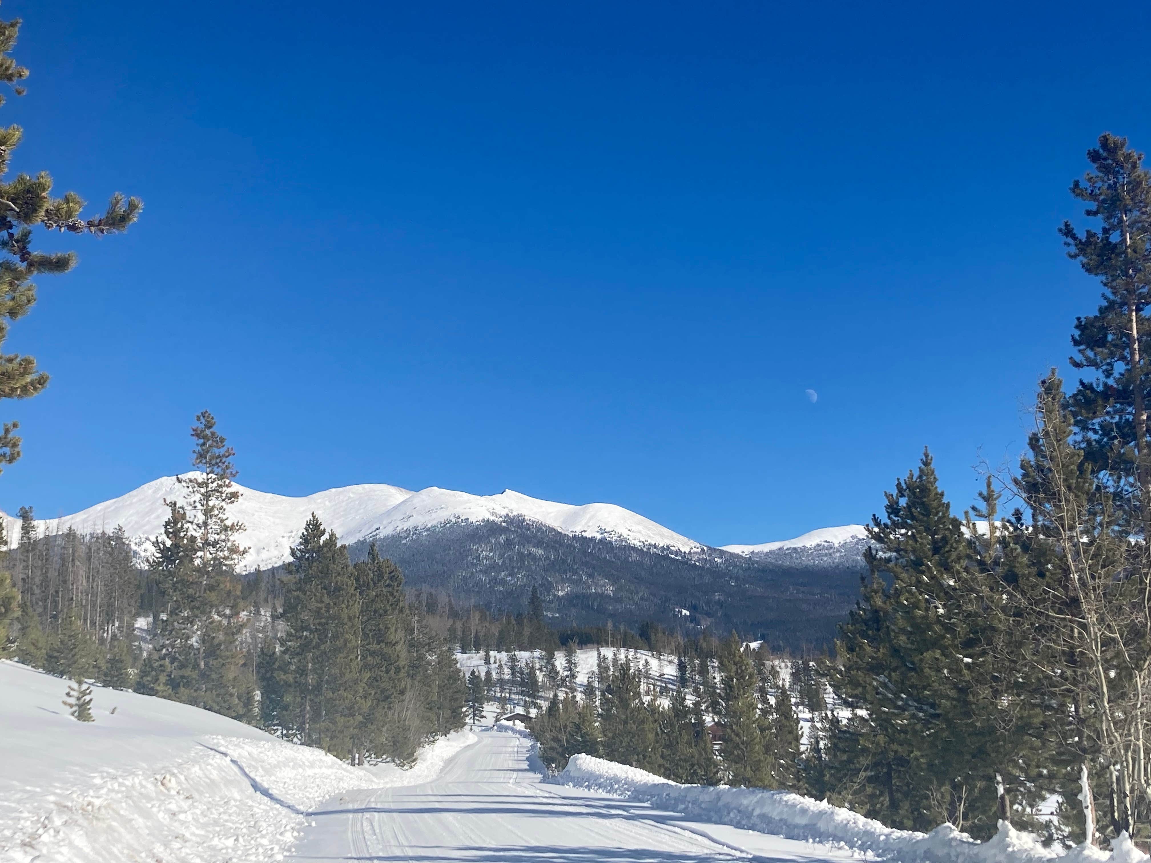 North Michigan Campground — State Forest State Park