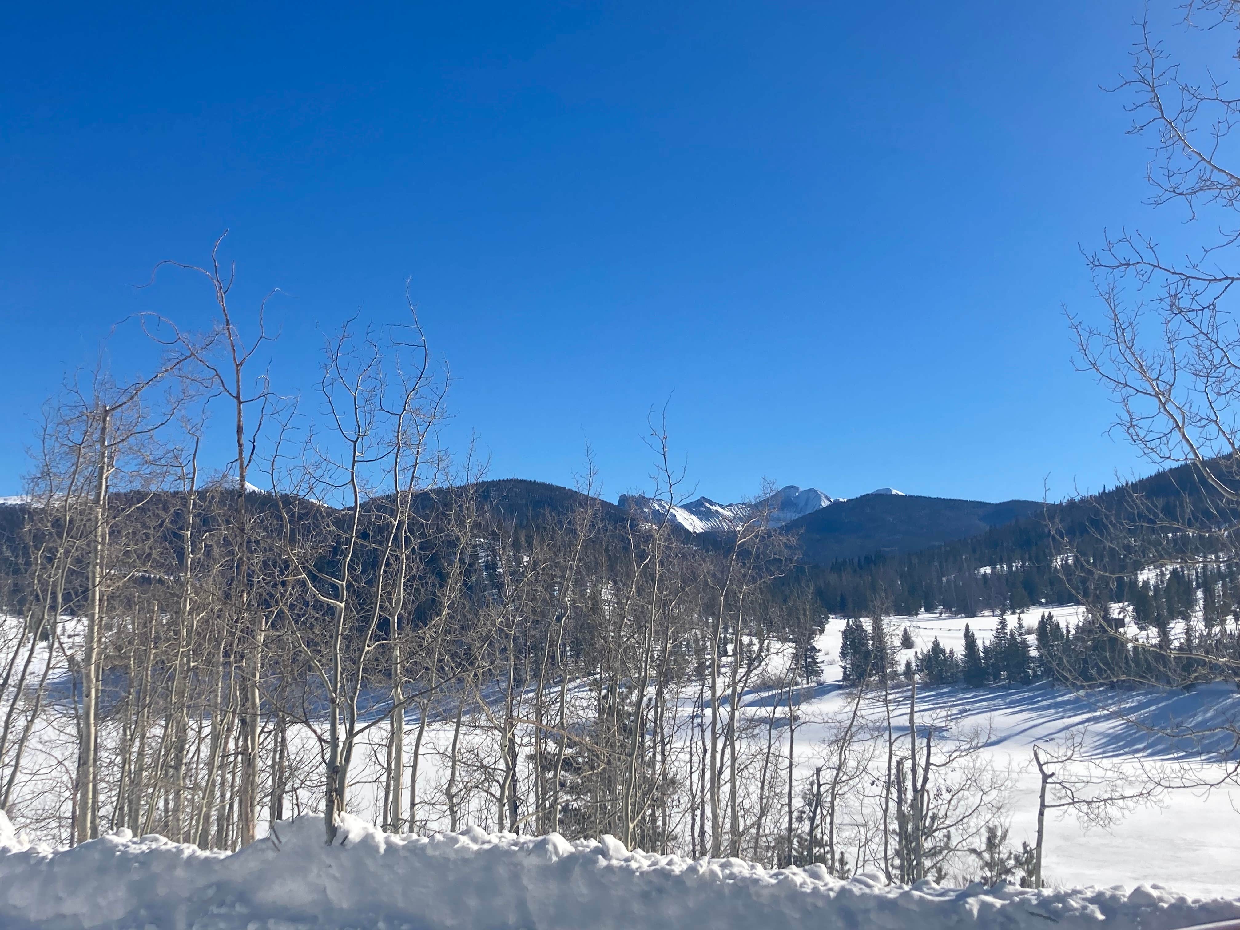 North Michigan Campground — State Forest State Park