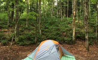 D G.'s photo at Superior Times near Au Train, MI