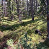 Review photo of Barns Meadow Reservoir by Cody L., January 11, 2022