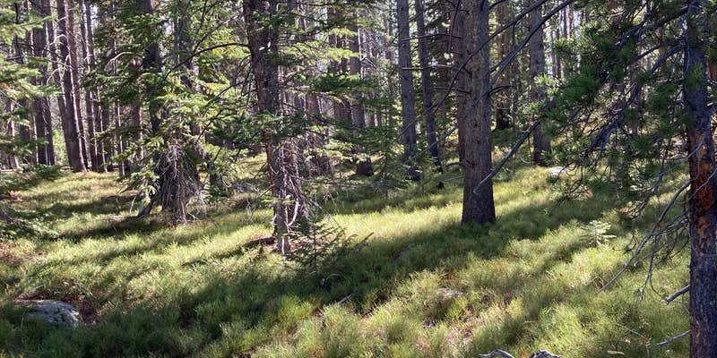 Camper submitted image from Barns Meadow Reservoir